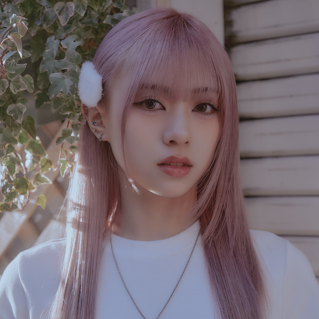 VIVI